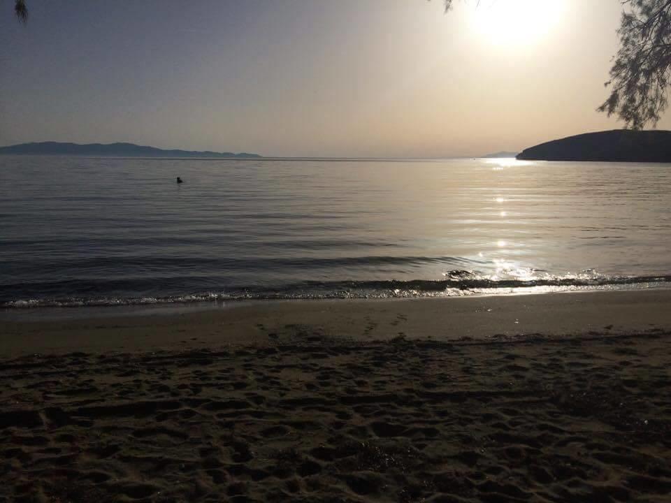 Elia Apartments Agios Romanos المظهر الخارجي الصورة