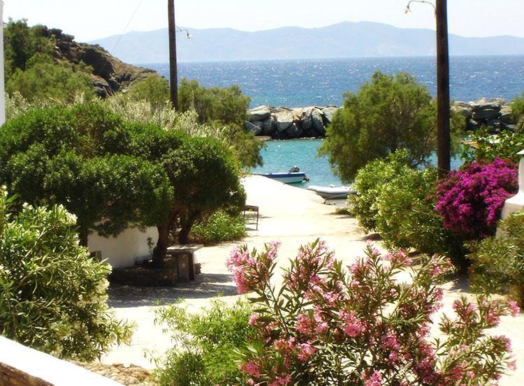 Elia Apartments Agios Romanos المظهر الخارجي الصورة